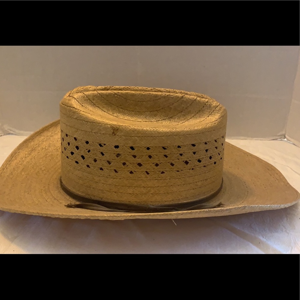 Longhorn Raffia Western Cowboy Hat Rancher - Picture 5 of 8